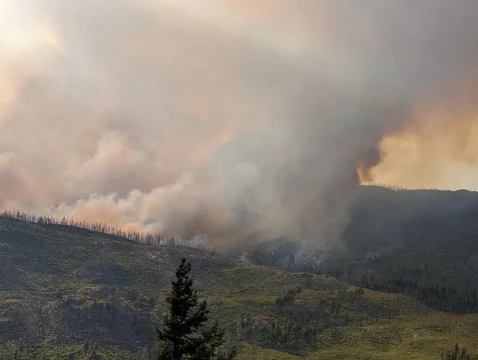 Los daños causados por incendios forestales en la UE se cuadruplicaron este año