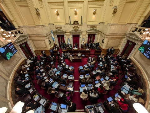 El Senado se prepara para rechazar el veto presidencial a la ley de reparto de los ATN