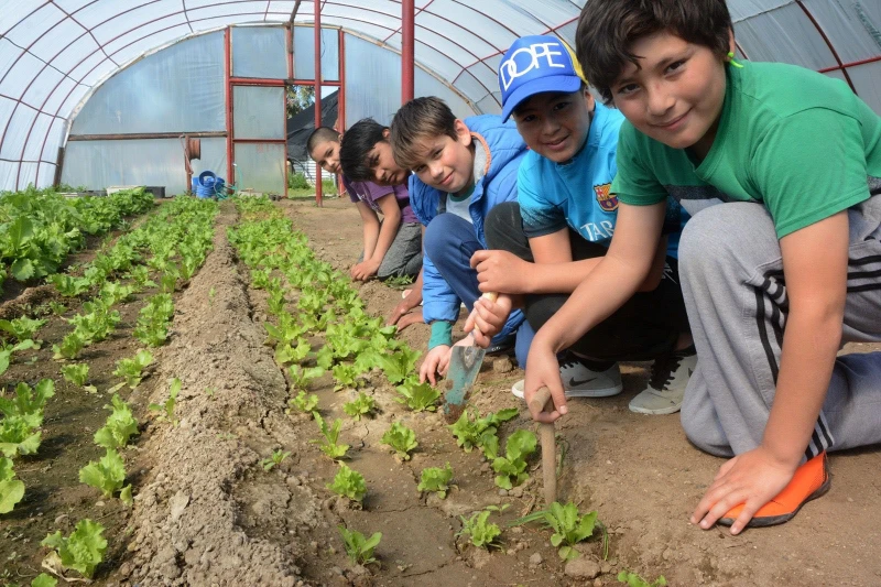 Chubut implementará un Bachillerato con Orientación en Energía y Sustentabilidad