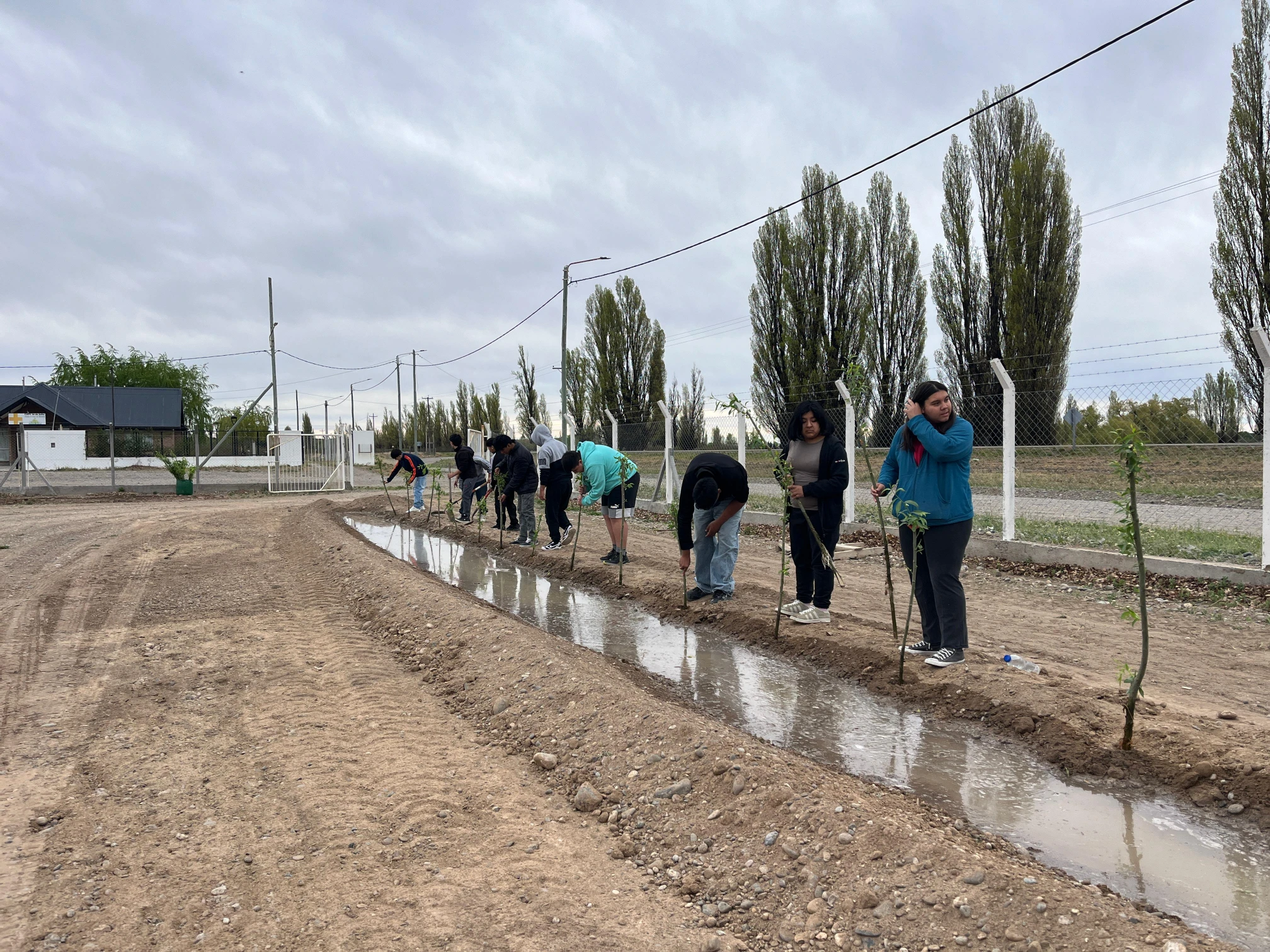 Con la plantación de 100 árboles, 28 de Julio avanza en su plan de forestación