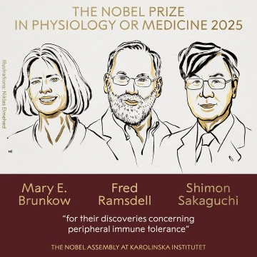 El premio Nobel de Medicina 2025 fue otorgado a Mary E. Brunkow, Fred Ramsdell y Shimon Sakaguchi
