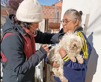 Salud: Provincia refuerza la vigilancia y el monitoreo de la Rabia Animal