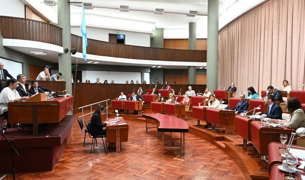 La Legislatura prorrogó las emergencias de anestesistas en el sistema de salud pública de Chubut y de la terapia pediátrica del Hospital de Trelew