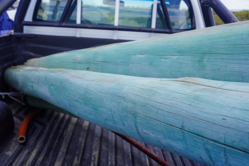 La Cooperativa realizó una denuncia penal por hechos de vandalismo en el sistema lagunar