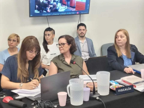 La fiscal general Laura Castagno y el pedido de prisión perpetua para Pablo Moyano