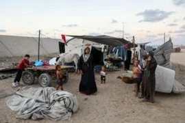 Crisis en Gaza: los nacimientos cayeron un 40% debido a la desnutrición y la destrucción de clínicas de fertilidad