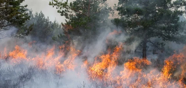 El Ministerio de Seguridad dijo que identificiará y juzgara a los responsables de los incendios