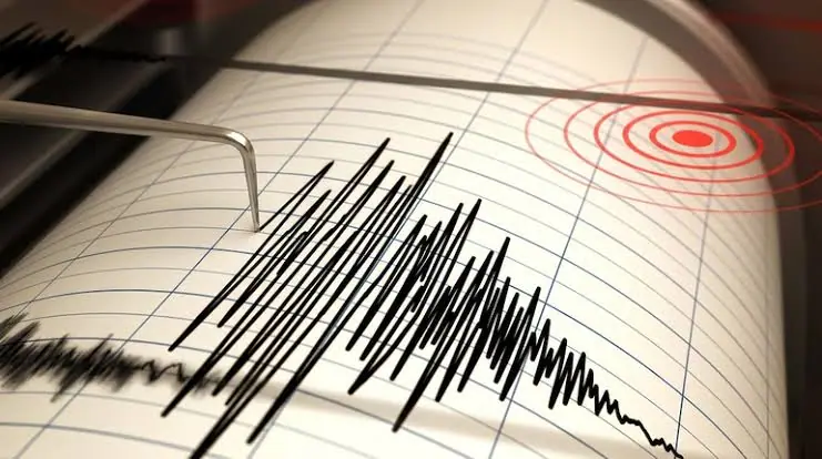 Fuerte sismo en Neuquén