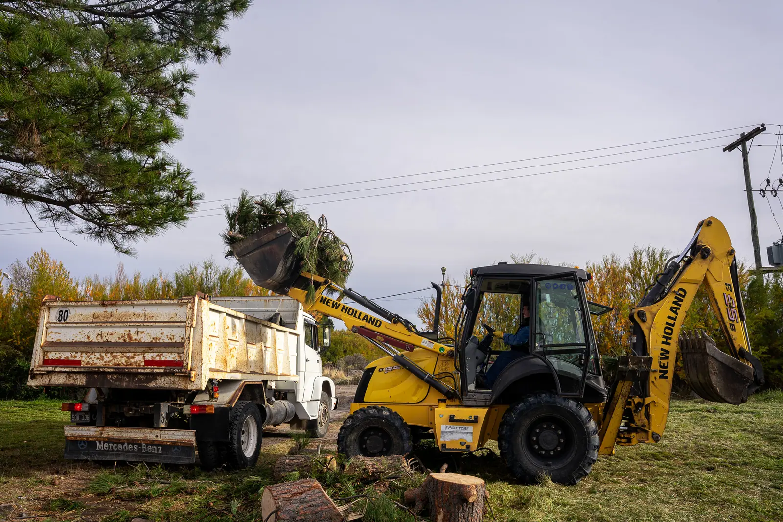 Importantes tareas de poda y limpieza en la Planta Potabilizadora