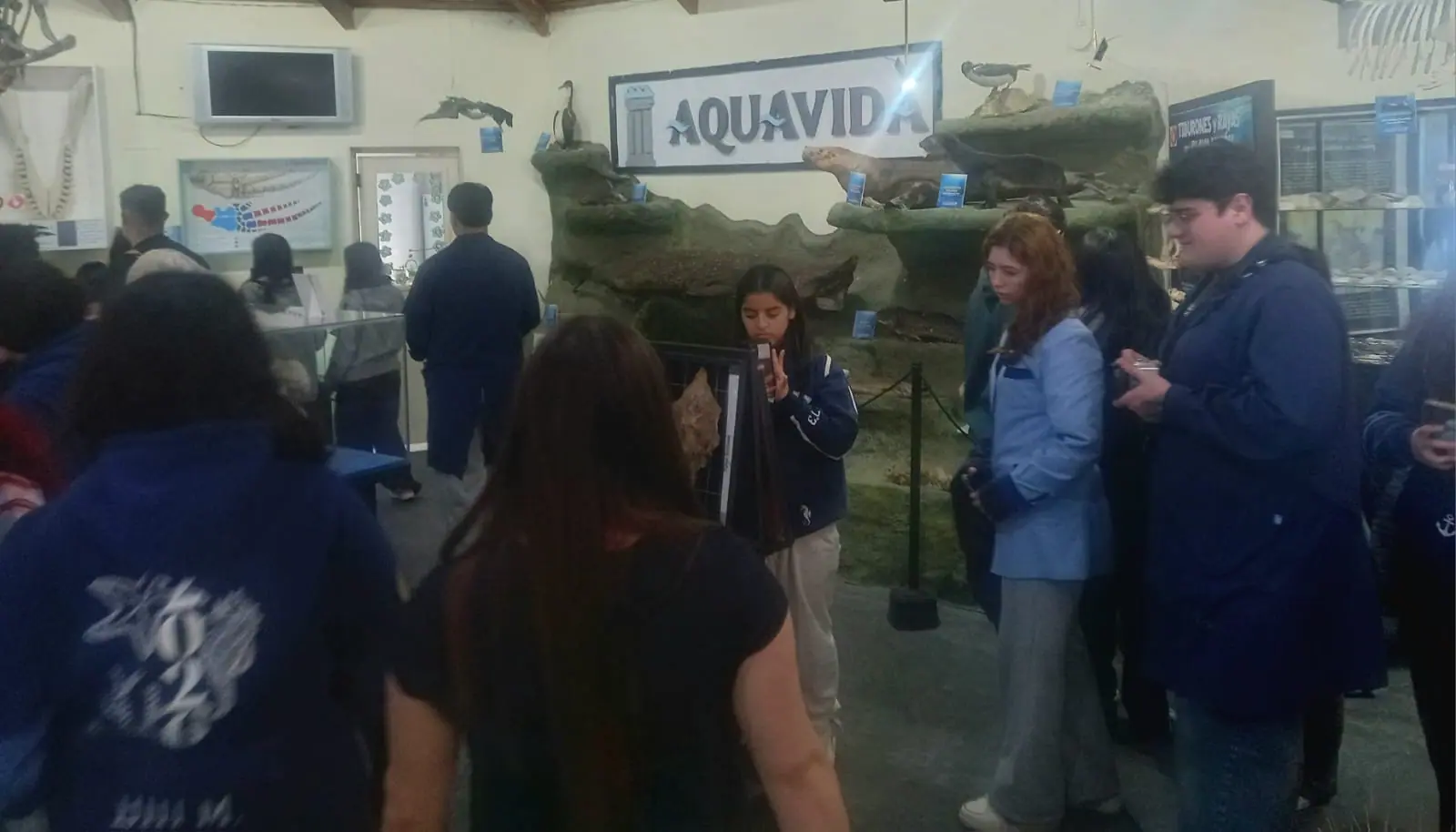 Más de 200 personas visitaron Aquavida en la última semana