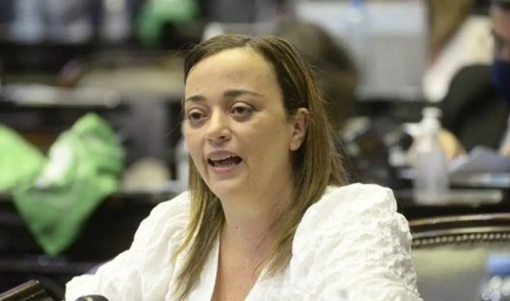 Cecilia Moreau cuestionó la restricción de la Zona Fría y advirtió por un “tarifazo”