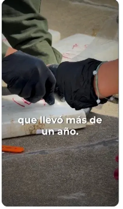 Gendarmería incautó una tonelada de cocaína y detuvo al capo narco Brian Bilbao