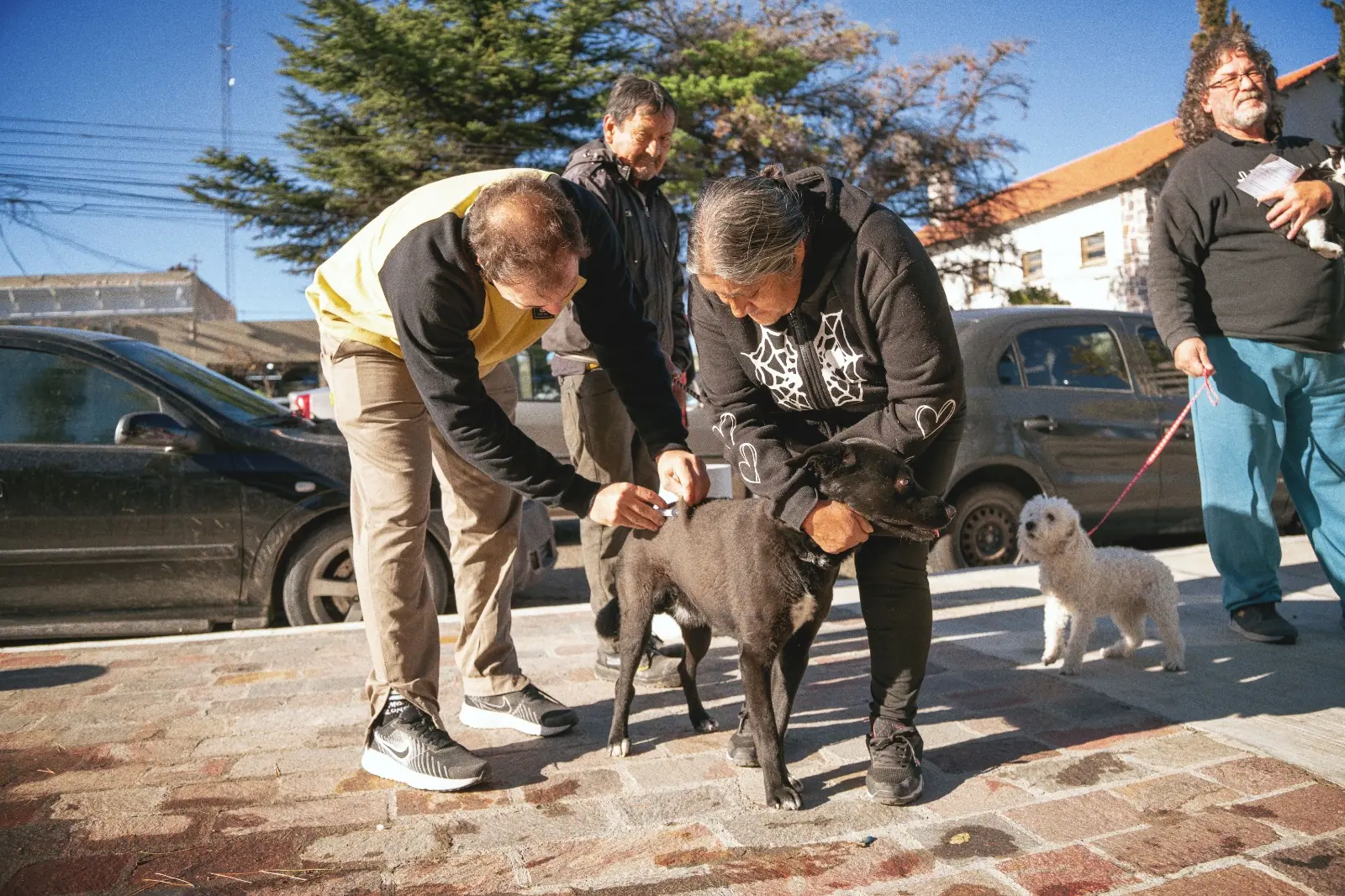 Campaña de vacunación en Rawson por el Día del Animal