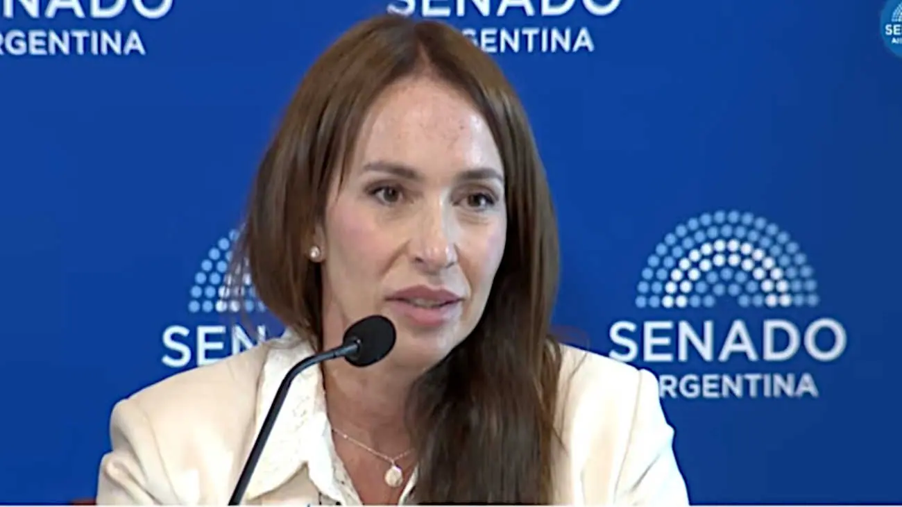 Con apoyo del PJ y dialoguistas, el Senado aprobó el pliego de Michelli, resistido por Milei