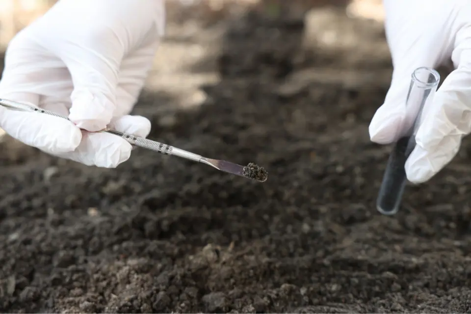 Comunidad Nahuelpán: Por qué la Fiscalía ratificó el cierre de la investigación por presunta contaminación